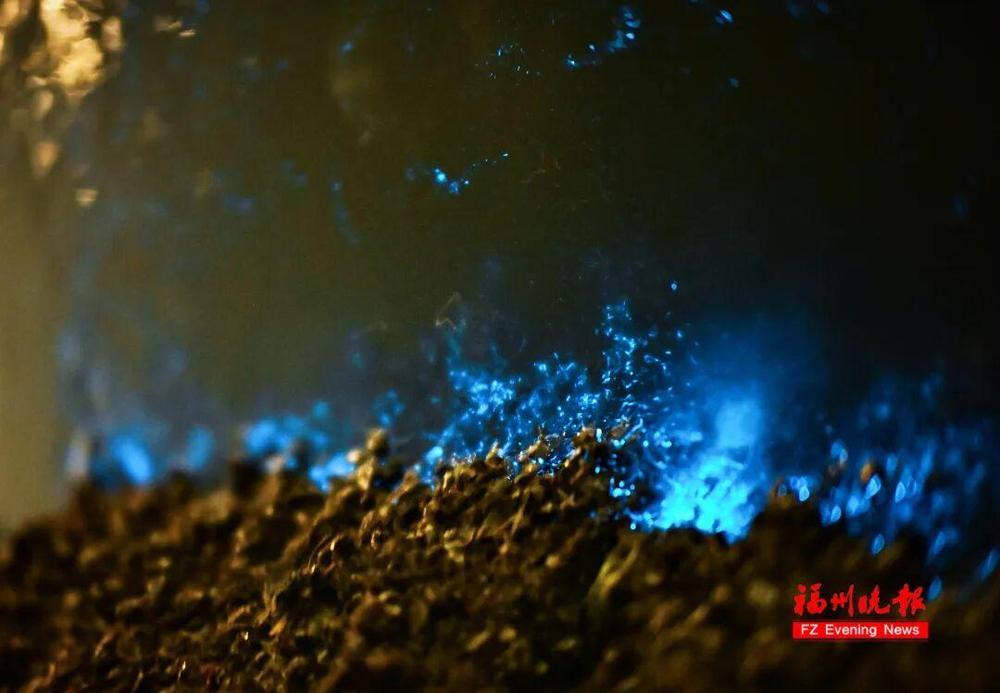 ���λã����������ᱬ�����������У�