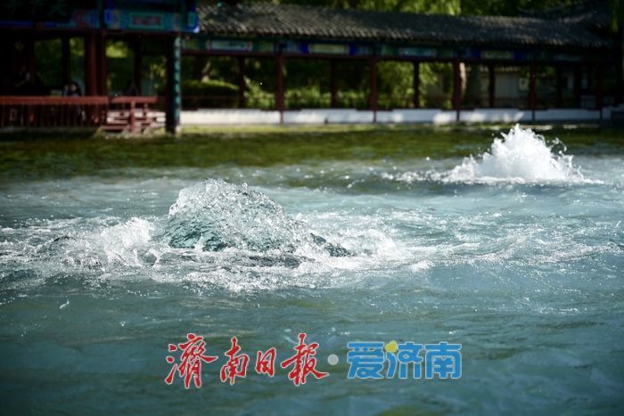 һ���ļ� Ȫ�ڼ���ح��Ȫ��ӿ��÷�������չ������Ƴ�
