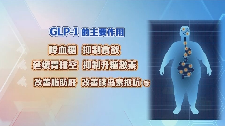 glp 1 中文 网红GLP-1类减重针刷屏该如何选择？_央广网