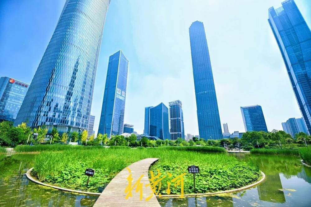 都市楼宇藏清荷,济南初夏入画来