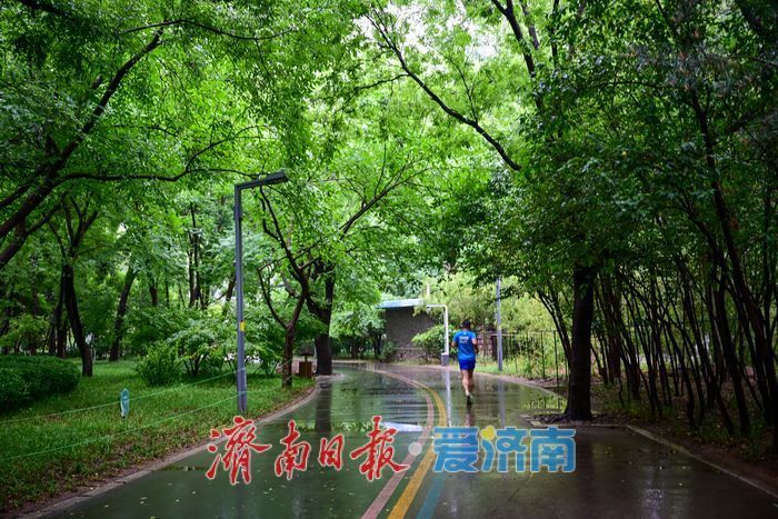 雨后济南森林公园美如画:雏菊带露,市民乐享清新