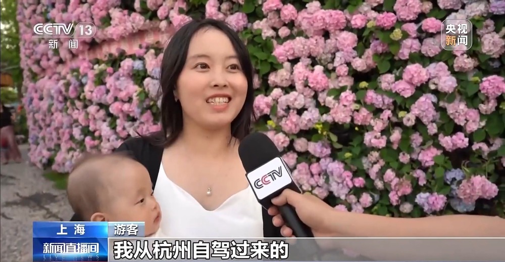 视频丨硬核科创+诗意“村游”长三角一体化发展亮点满满(图17)