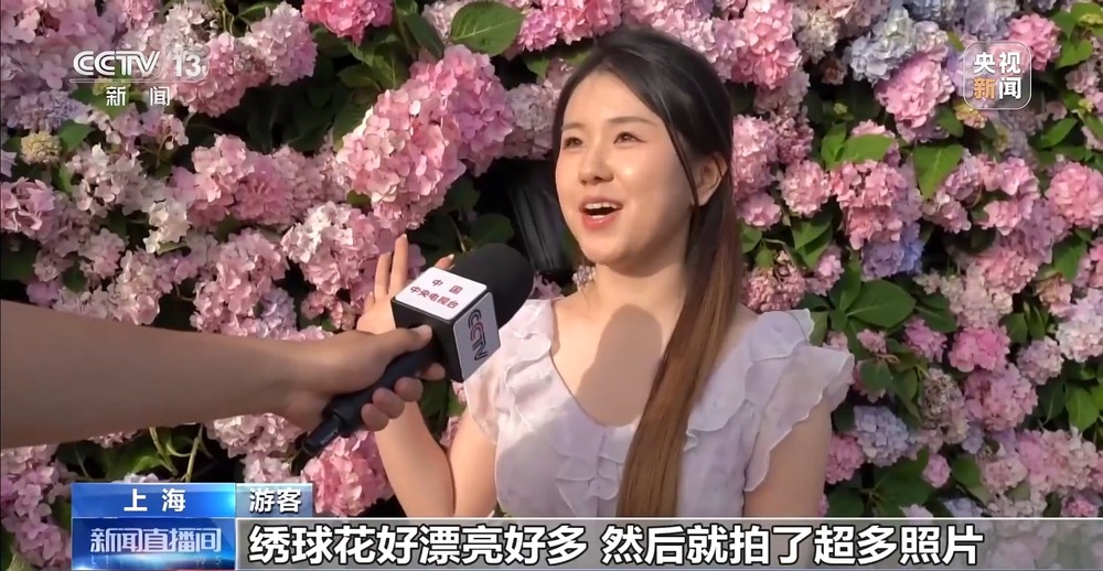 视频丨硬核科创+诗意“村游”长三角一体化发展亮点满满(图16)