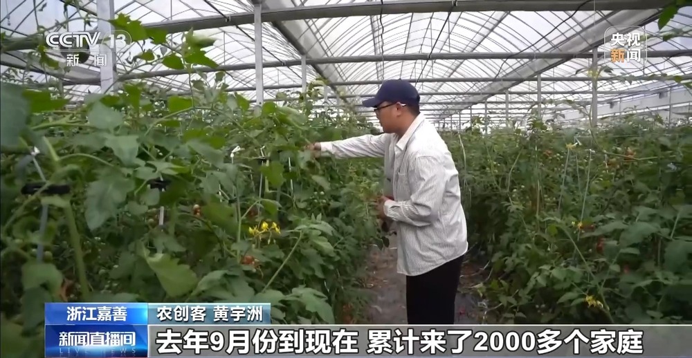 视频丨硬核科创+诗意“村游”长三角一体化发展亮点满满(图14)