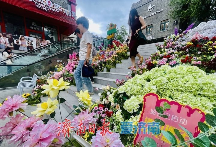 闯入现实版莫奈花园!老商埠“花海楼梯”浪漫值拉满