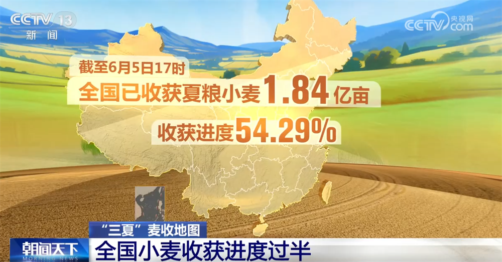 全国小麦收获进度已过半多地抢收、烘干齐发力守护群众“粮袋子”(图1)