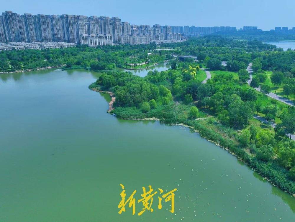 一年四季 泉在济南丨藏在济南的避暑圣地 华山湖畔绿意正盛遮酷暑