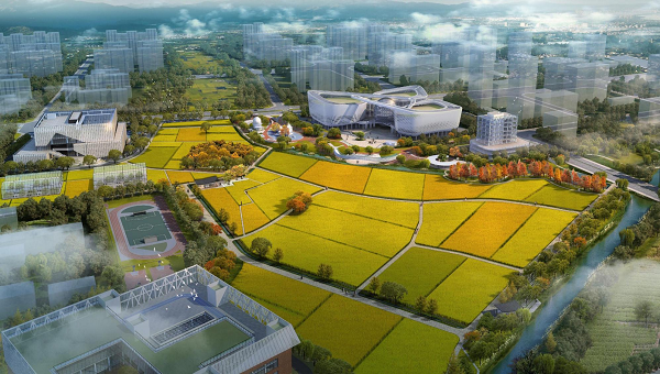 厦门市自然资源和规划局系统推进全域土地综合整治综述