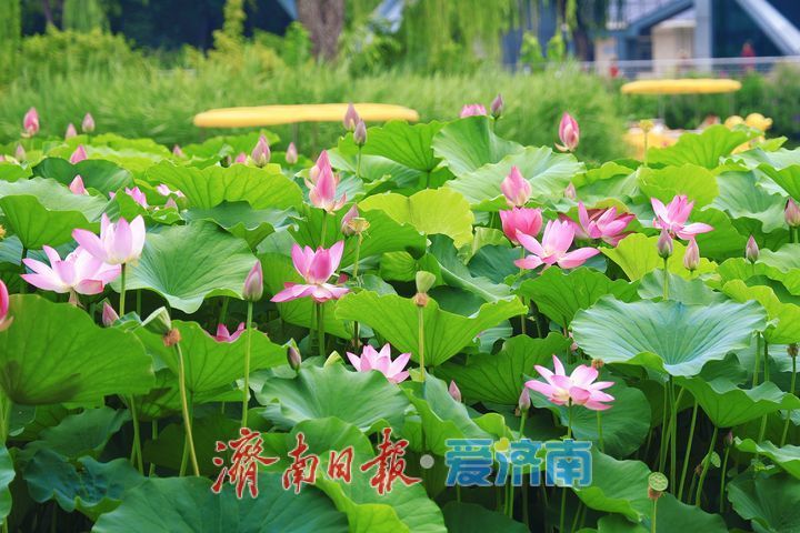 һ���ļ� Ȫ�ڼ���ح�ɻ����������� ������԰������