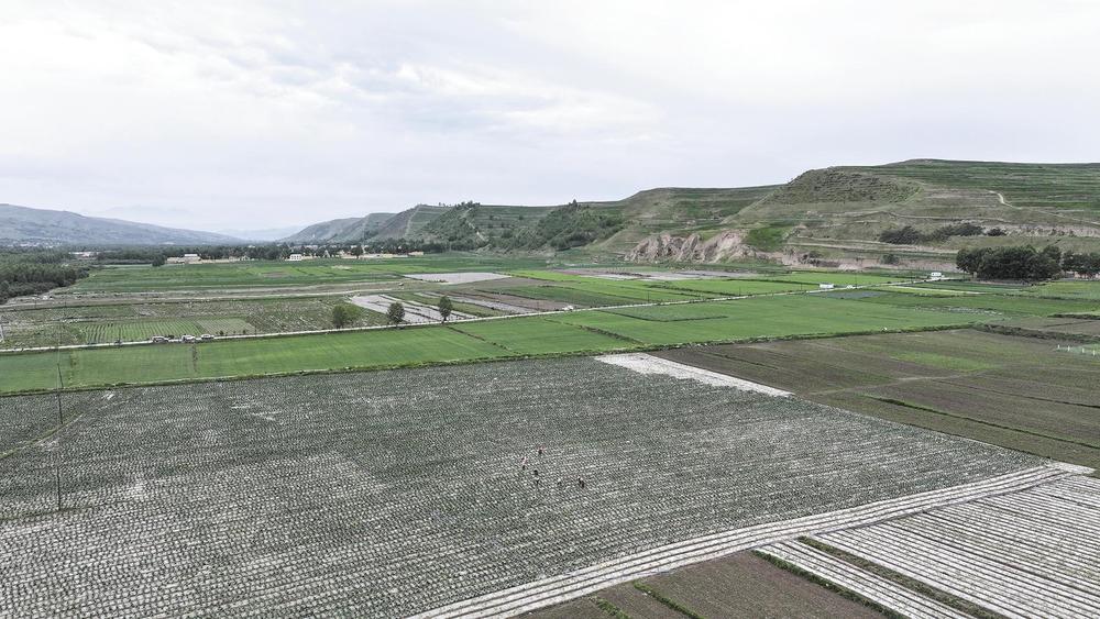 俯瞰西丹麻村高标准农田。本报记者 张多钧 才贡加 摄