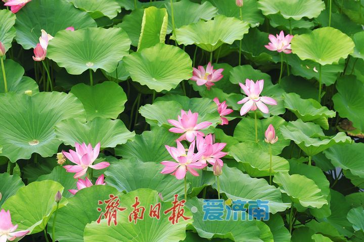 һ���ļ� Ȫ�ڼ���ح�ɻ����������� ������԰������