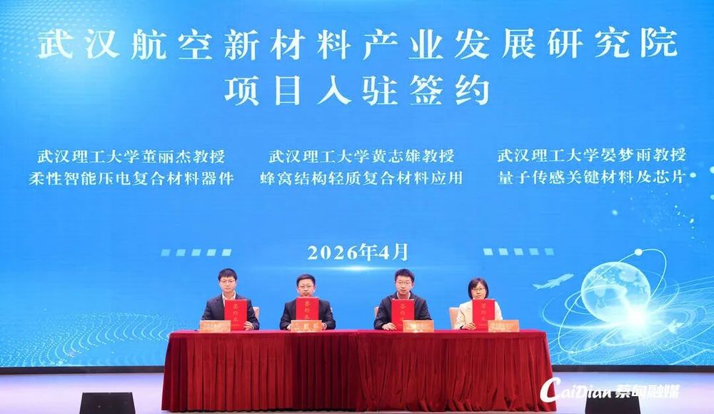 从“点状突破”迈向“集群成势”蔡甸区新材料产业聚势腾飞(图4)