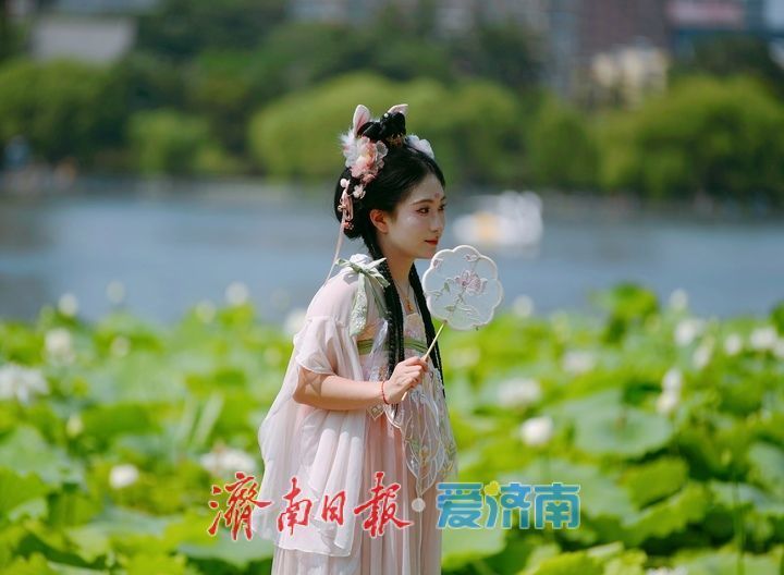 湖光悦色·荷映泉城!济南市第40届荷花艺术节7月3日灿烂启幕