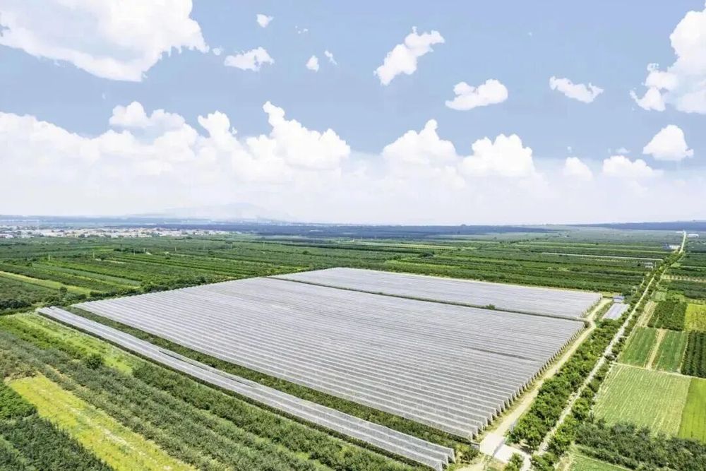 临猗现代农业产业示范区位列山西十三个农业类开发区第一名(图6)
