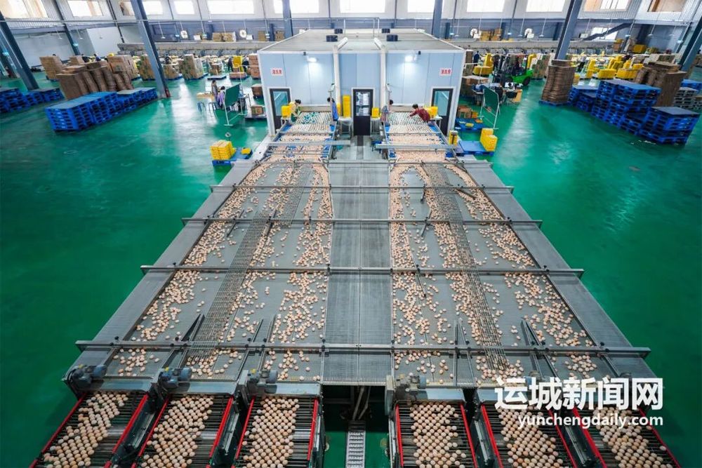 临猗现代农业产业示范区位列山西十三个农业类开发区第一名(图7)