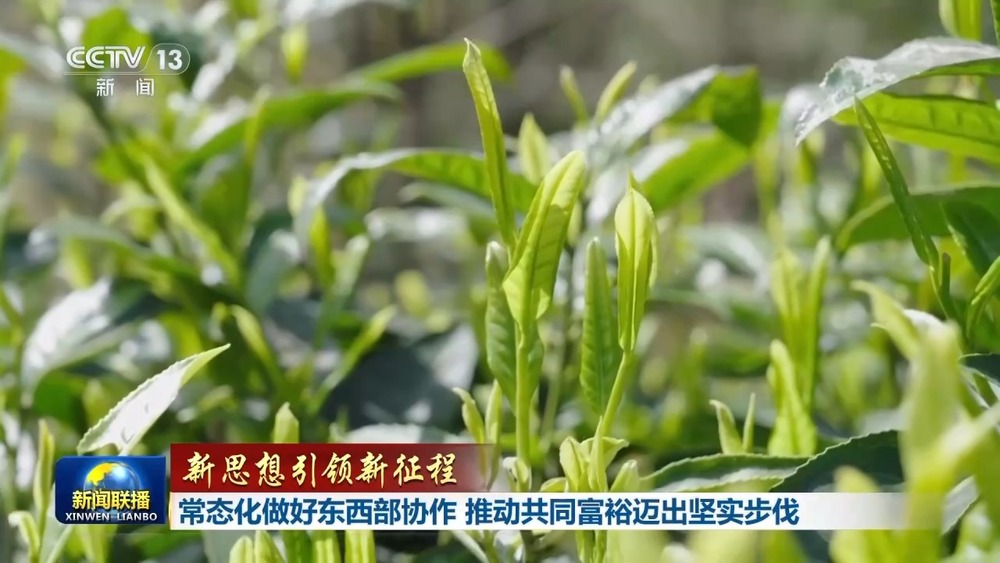 新思想引领新征程丨东西部协作推动共同富裕迈出坚实步伐(图2)