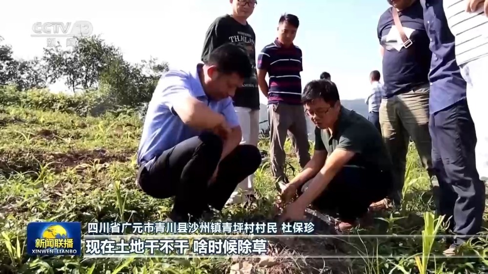 新思想引领新征程丨东西部协作推动共同富裕迈出坚实步伐(图3)