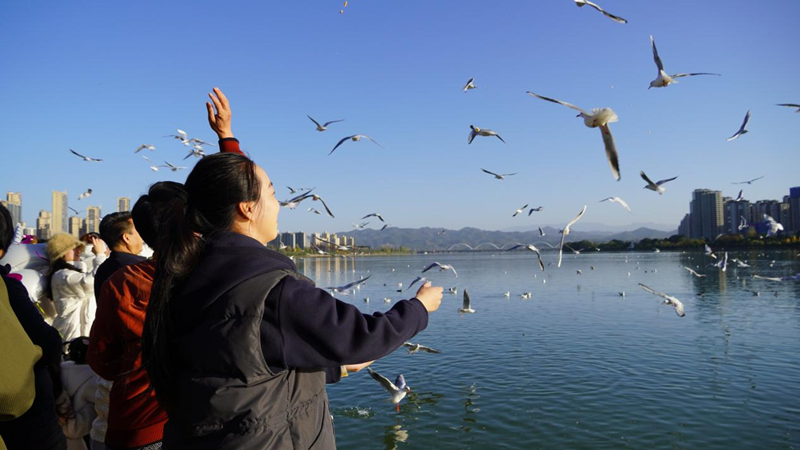 行进中国丨从“幸福园”到“幸福城”(图4)