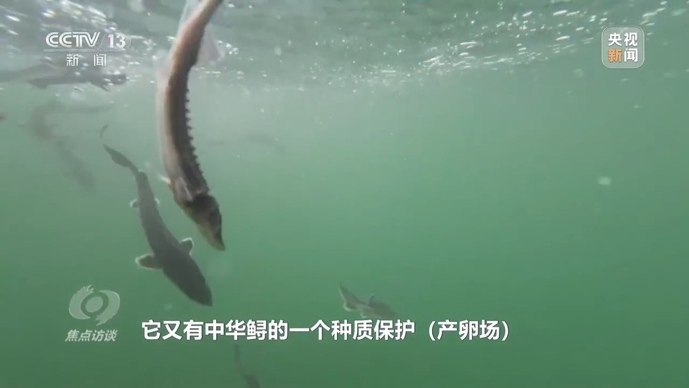 焦点访谈丨多项重大工程进度条刷新将这样改变你我生活(图11)