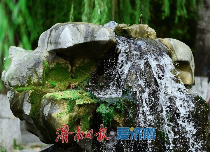 再破纪录,济南月牙泉实现持续喷涌一周年