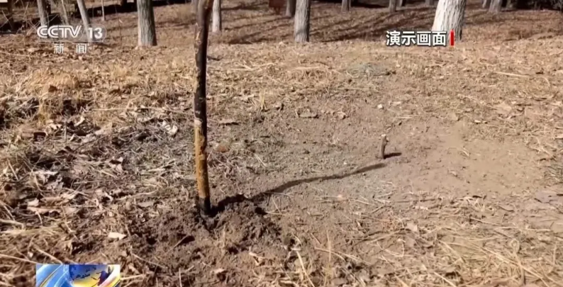 深夜被困山上只因盲从AI“量身定制”路线(图4)