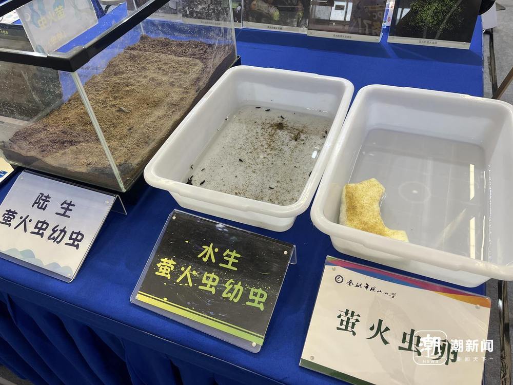 首届全国科普创作者大会德清启幕让科学之光照亮更多人(图7)