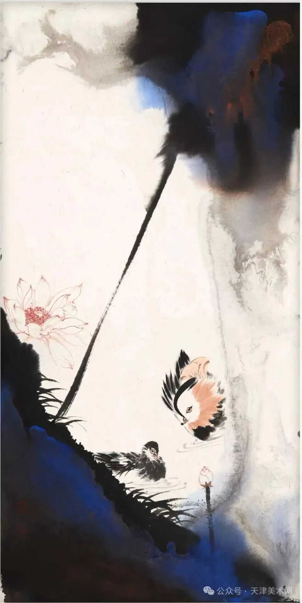 �DƬ