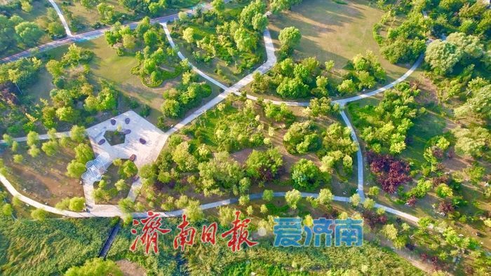 秋染华山湖 绘就泉城生态宜居画卷