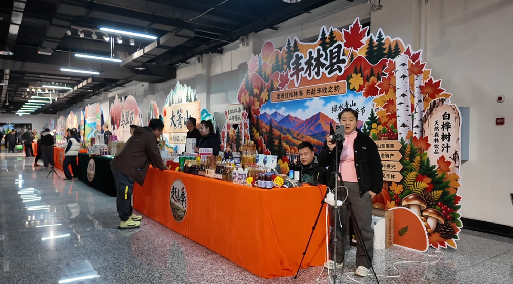 哈伊高铁为伊春铺就“两山”转化快车道(图4)