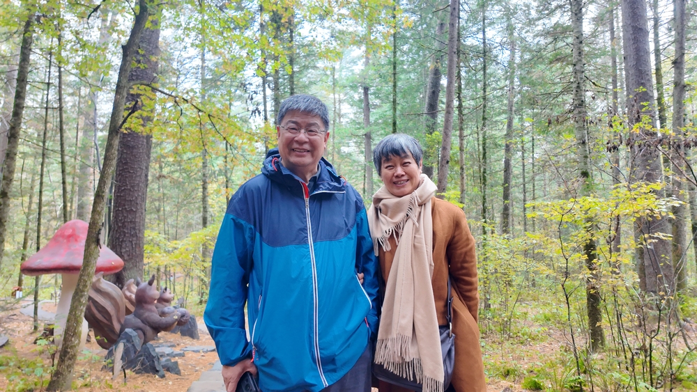 哈伊高铁为伊春铺就“两山”转化快车道(图3)