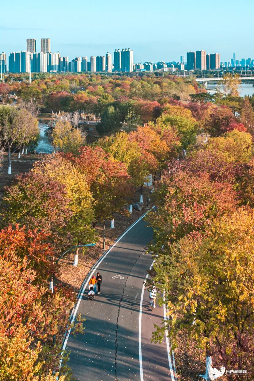 2024011径河公园(秋景1 (10).jpg