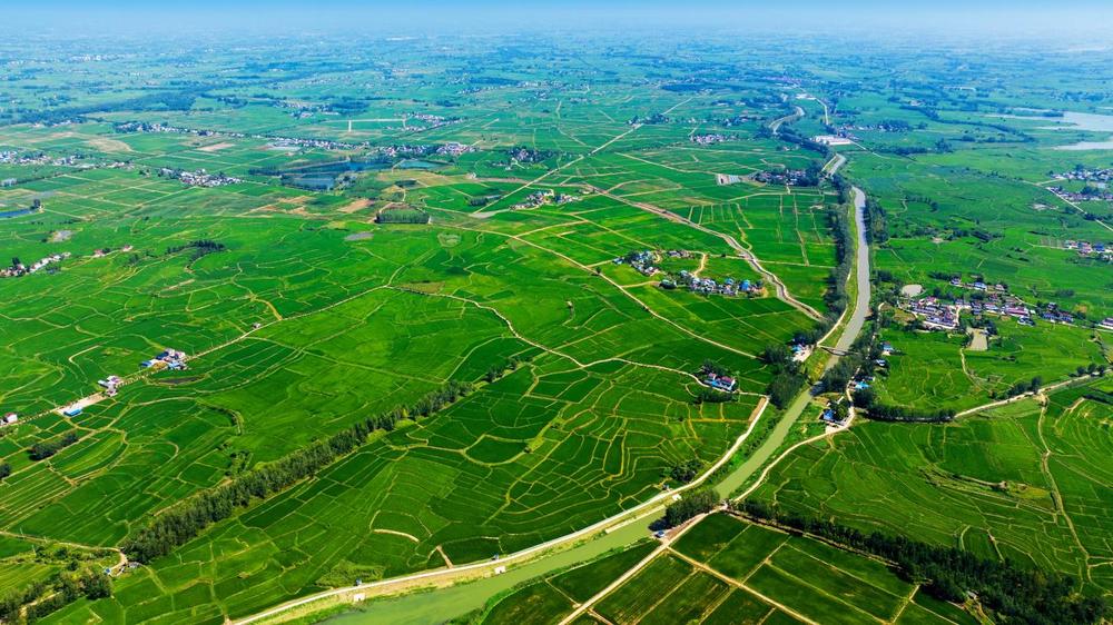 淠史杭灌区瓦西干渠.jpg