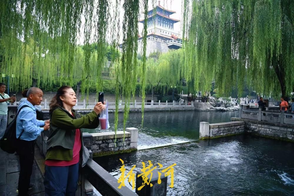 冷空气送秋意,泉城秋景醉游人