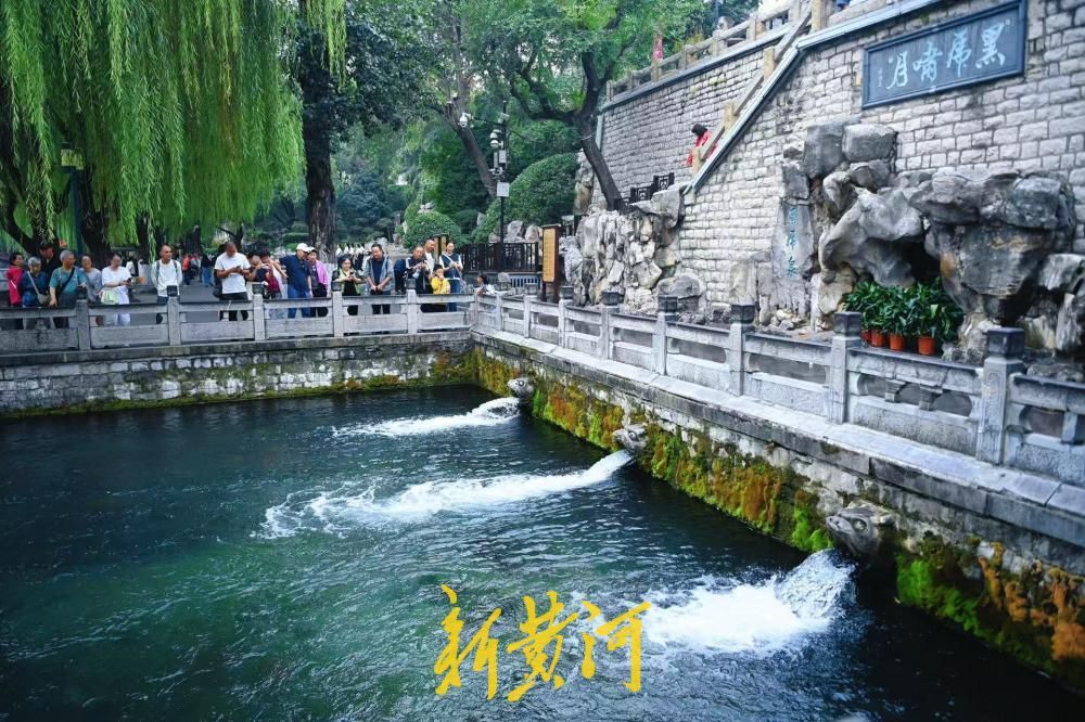 冷空气送秋意,泉城秋景醉游人