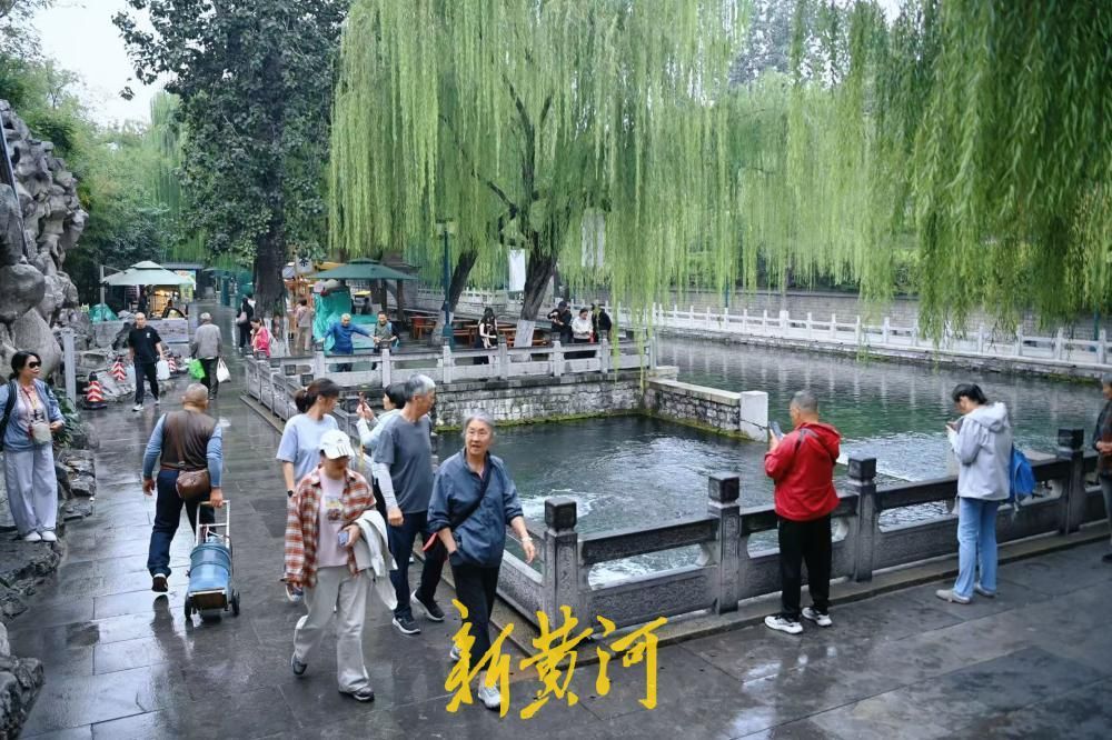 冷空气送秋意,泉城秋景醉游人