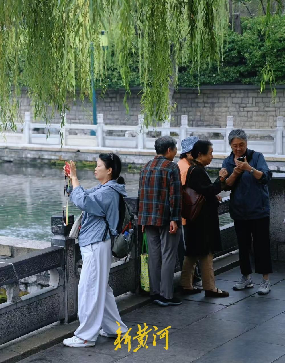 冷空气送秋意,泉城秋景醉游人
