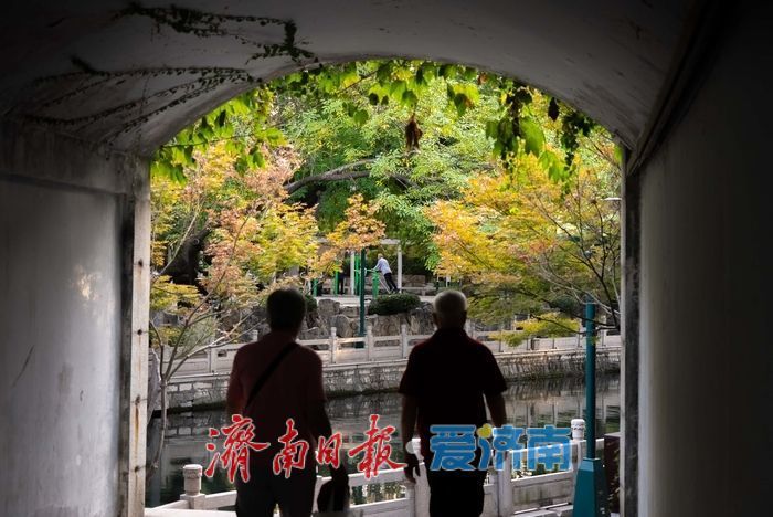 护城河畔秋色正好,市民乐享泉畔慢生活