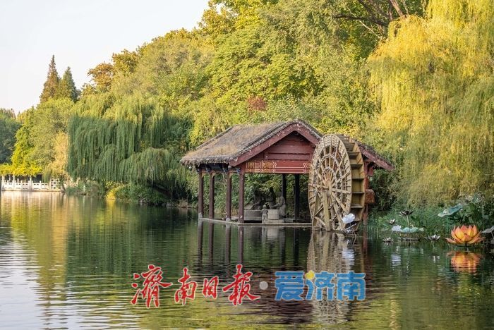 护城河畔秋色正好,市民乐享泉畔慢生活