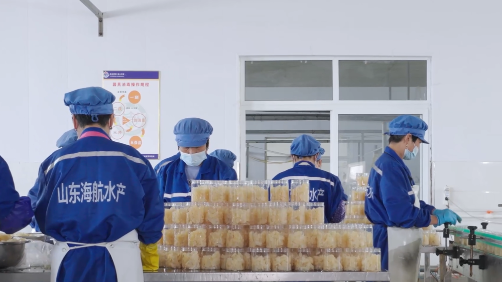 齐鲁丰景·乡约振兴 | 全国75%的海蜇,为何在滨州这个村交易?