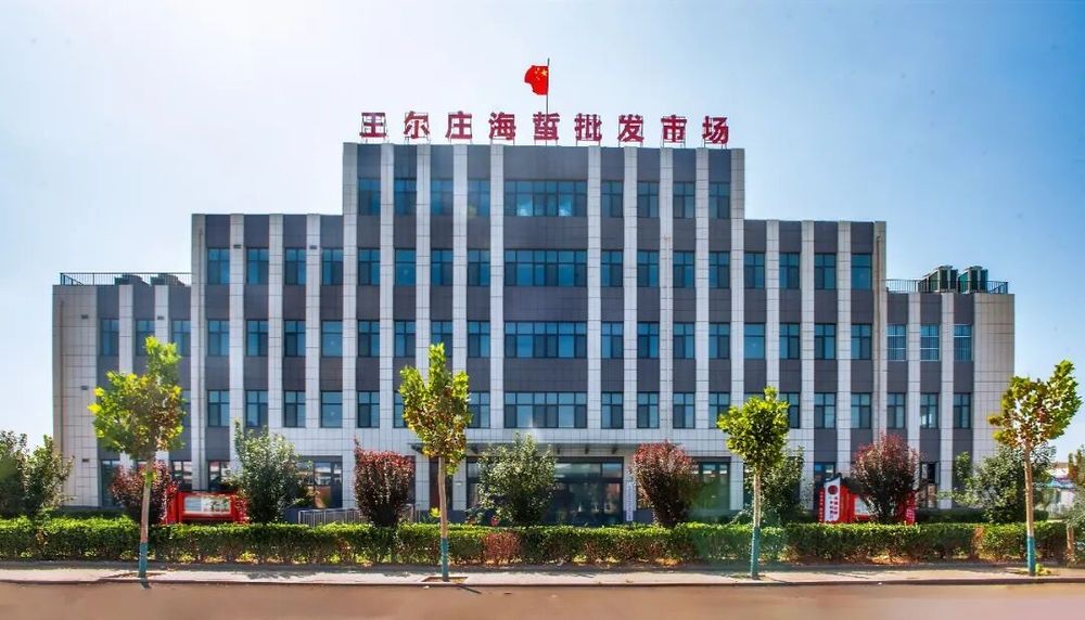 齐鲁丰景·乡约振兴 | 全国75%的海蜇,为何在滨州这个村交易?