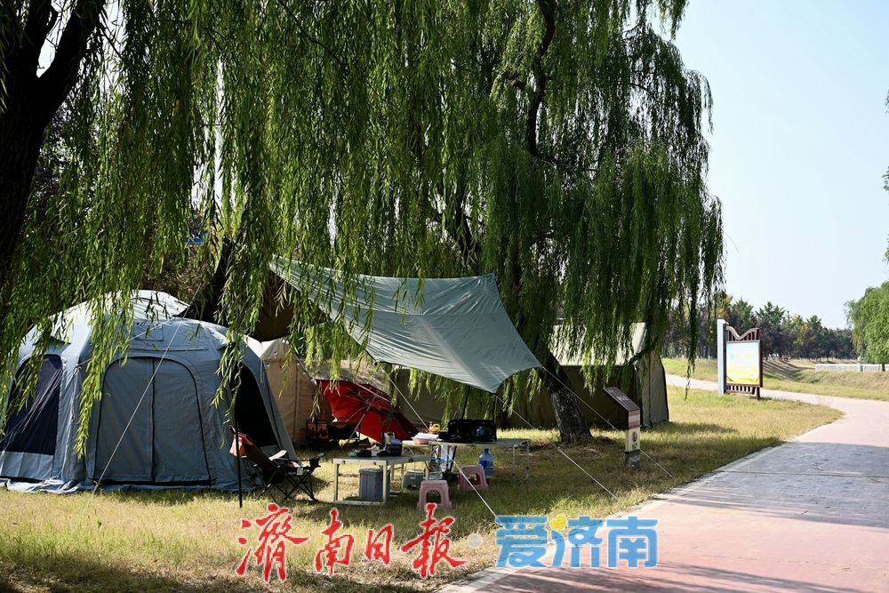 秋韵满黄河,露营引人流,济南黄河沿岸成休闲新地标