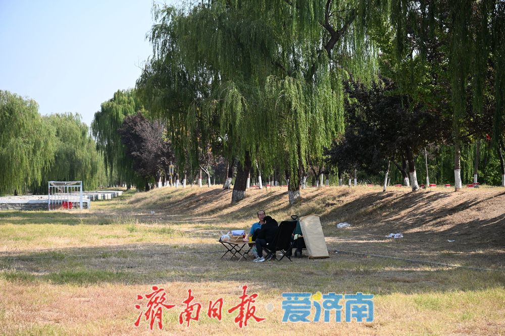 秋韵满黄河,露营引人流,济南黄河沿岸成休闲新地标