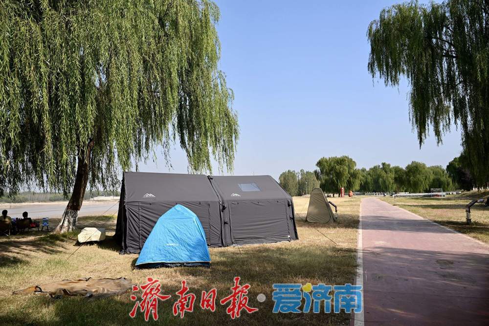秋韵满黄河,露营引人流,济南黄河沿岸成休闲新地标