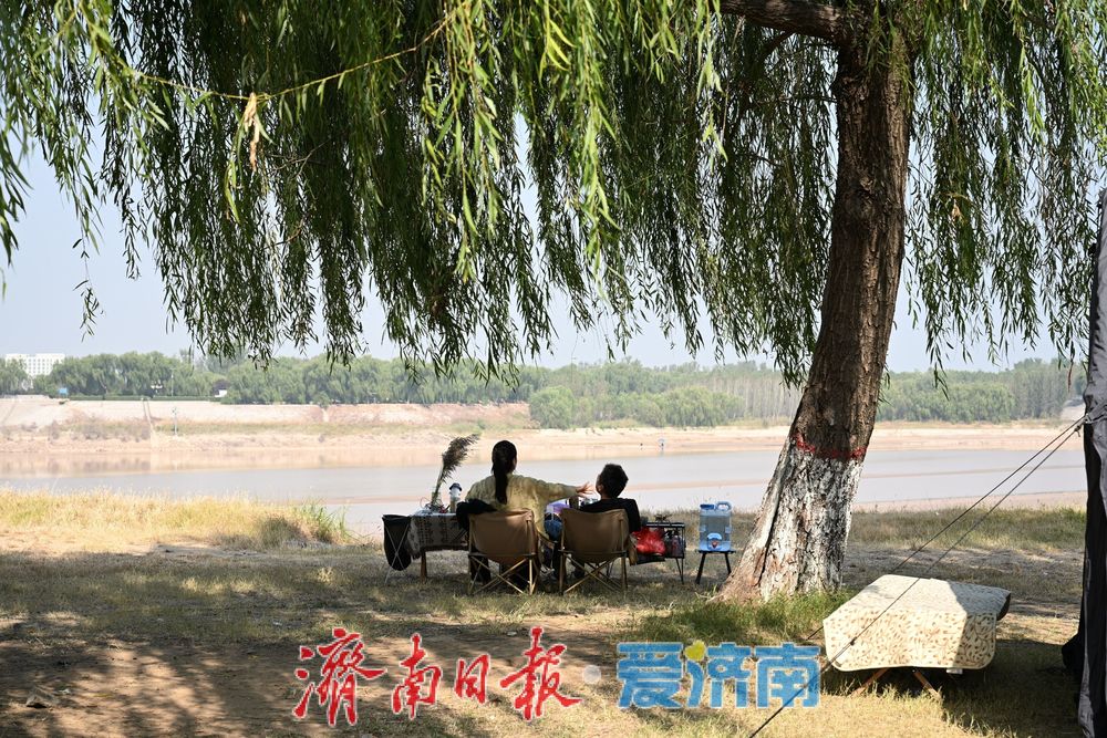 秋韵满黄河,露营引人流,济南黄河沿岸成休闲新地标