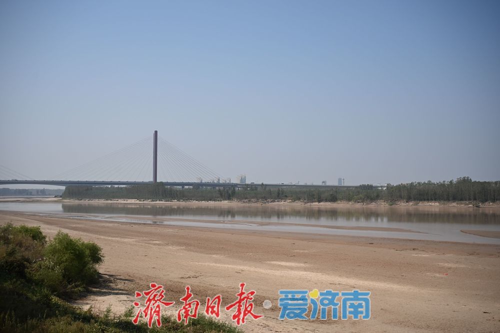 秋韵满黄河,露营引人流,济南黄河沿岸成休闲新地标