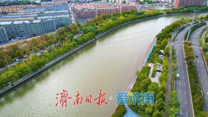 秋染清河岸,水韵入画来 济南小清河铺展秋日生态长卷