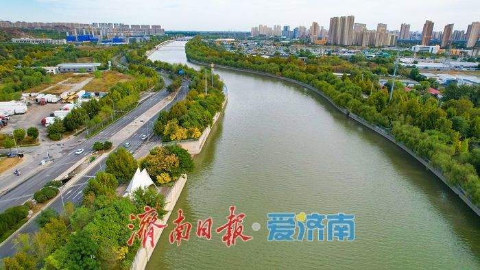 秋染清河岸,水韵入画来 济南小清河铺展秋日生态长卷
