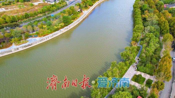 秋染清河岸,水韵入画来 济南小清河铺展秋日生态长卷